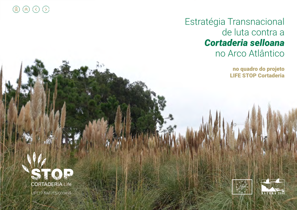 Estratégia Transnacional De Luta Contra a Cortaderia Selloana No Arco Atlântico