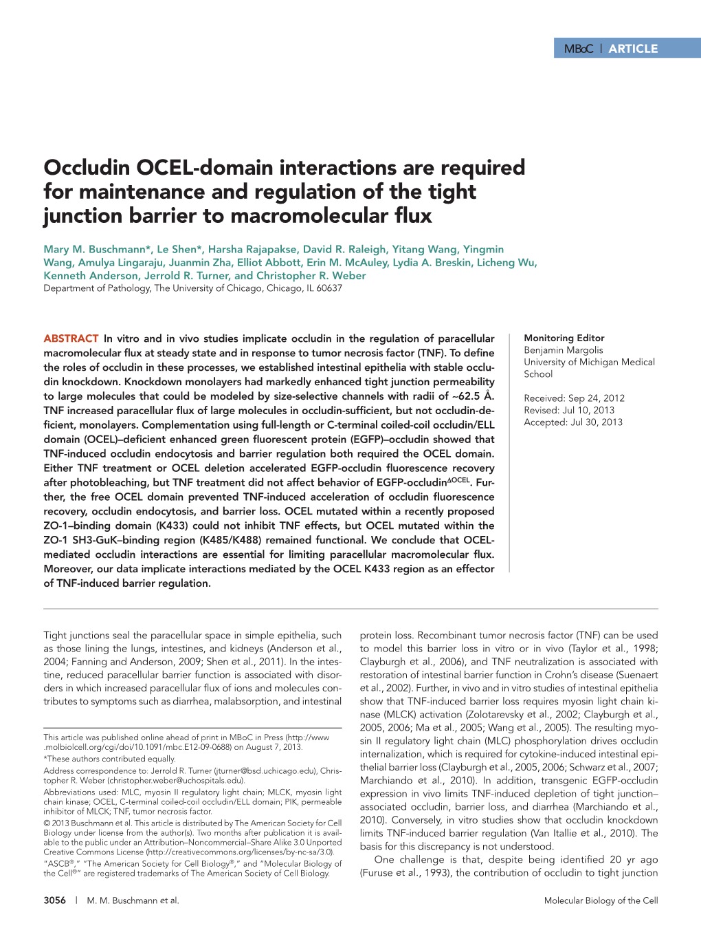 Occludin OCEL-Domain Interactions Are Required for Maintenance and Regulation of the Tight Junction Barrier to Macromolecular Flux