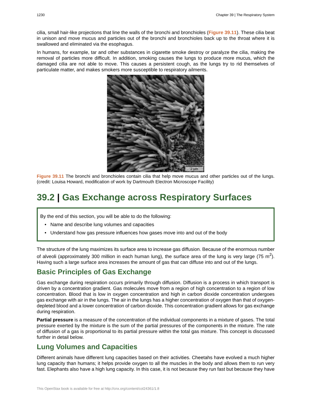 39.2 Gas Exchange Across Respiratory
