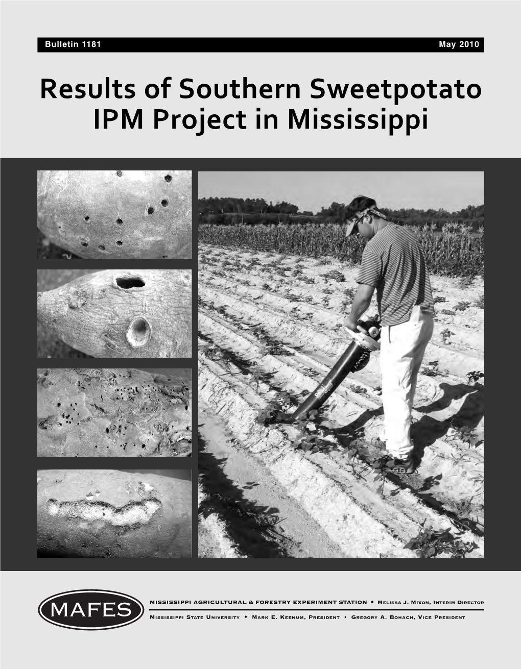 Results of Southern Sweetpotato IPM Project in Mississippi