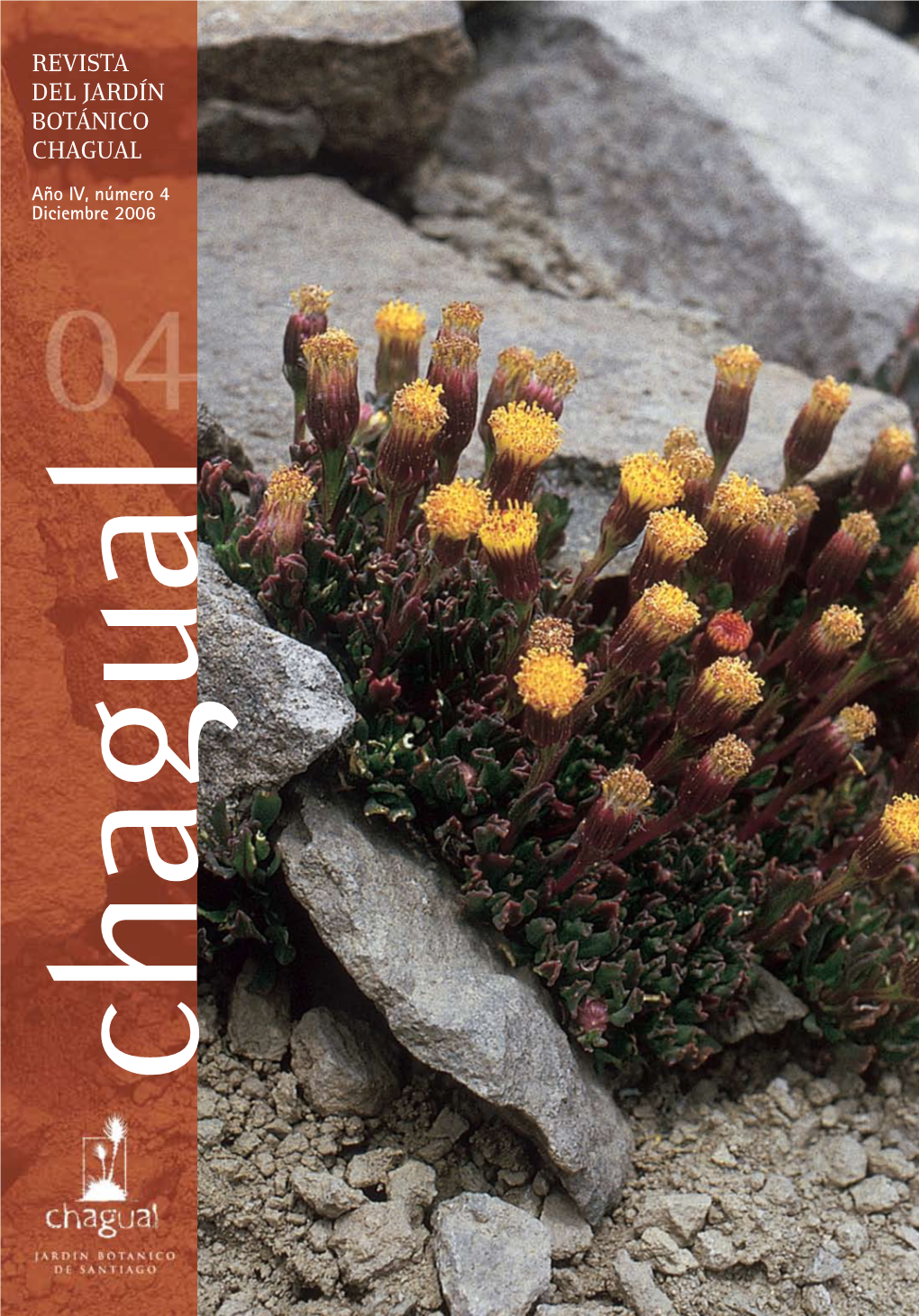 Senecio (Asteraceae): El Más Diverso De Chile / Sebastián Teillier & Alicia Marticorena 39