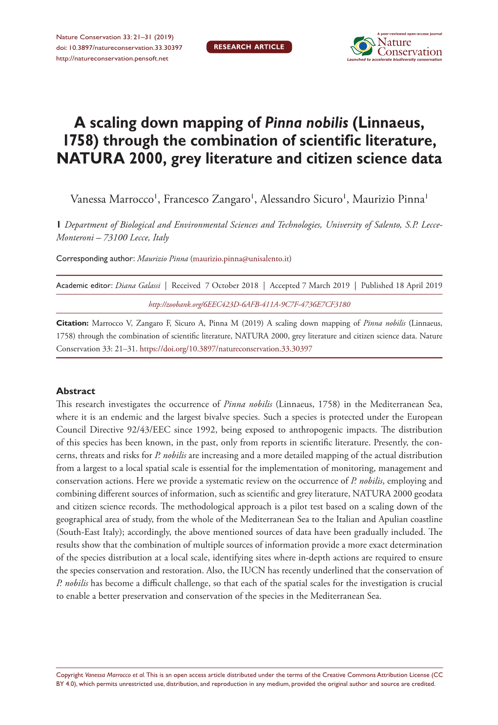 A Scaling Down Mapping of Pinna Nobilis