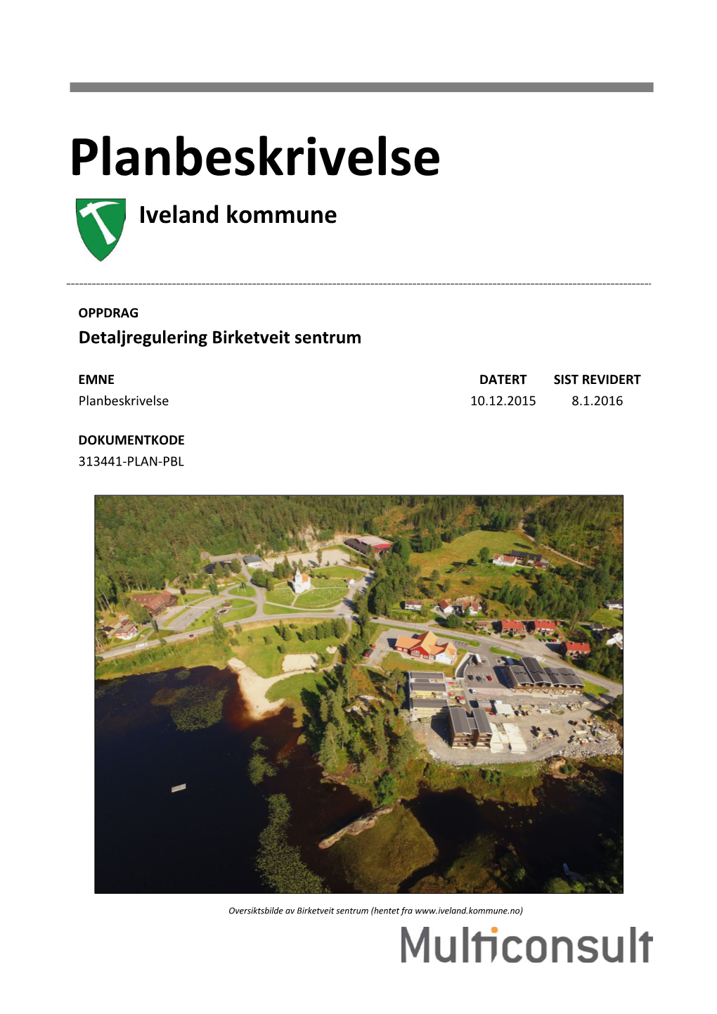 Planbeskrivelse Iveland Kommune