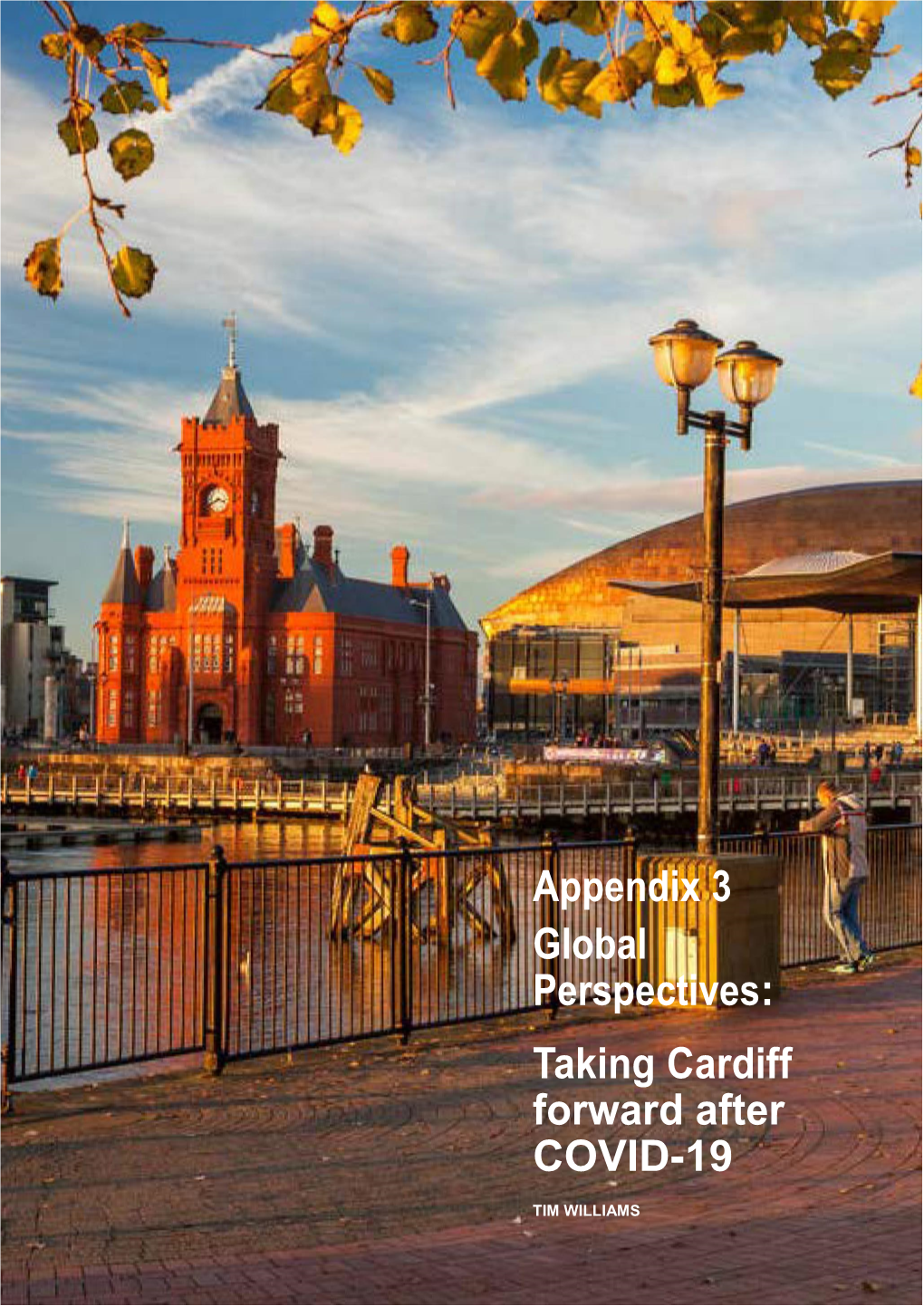 Appendix 3 Global Perspectives: Taking Cardiff Forward After COVID-19