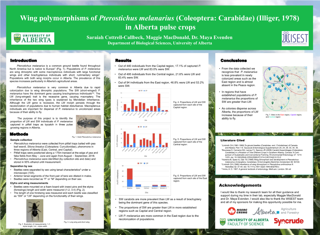 Saraiah Cottrell-Callbeck, Maggie Macdonald, Dr. Maya Evenden Department of Biological Sciences, University of Alberta