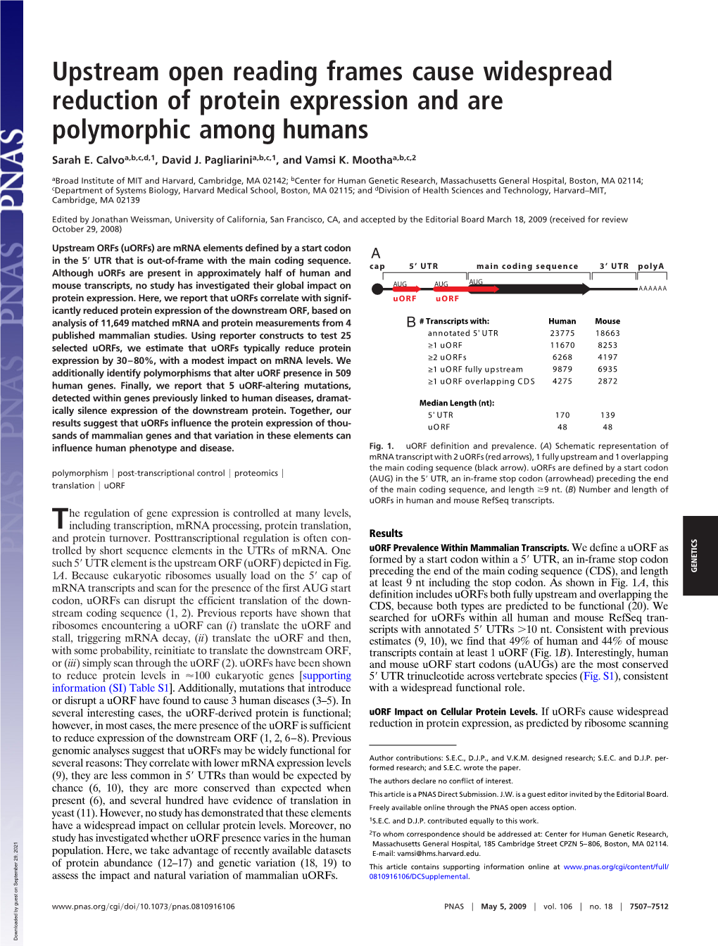 Upstream Open Reading Frames Cause Widespread Reduction of Protein Expression and Are Polymorphic Among Humans