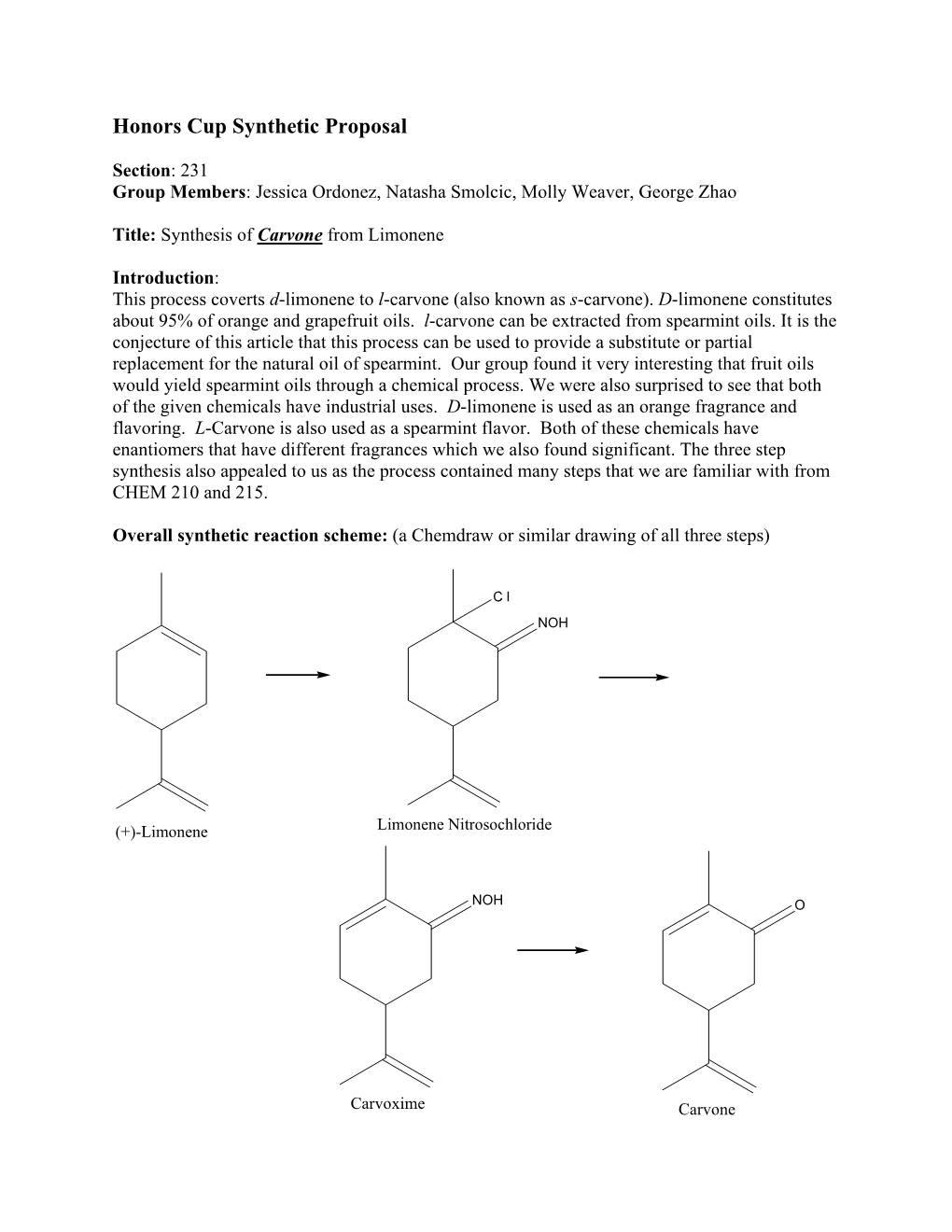 Honors Cup Synthetic Proposal