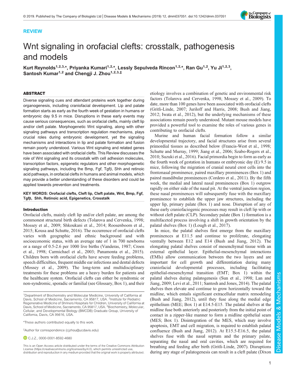 Wnt Signaling in Orofacial Clefts