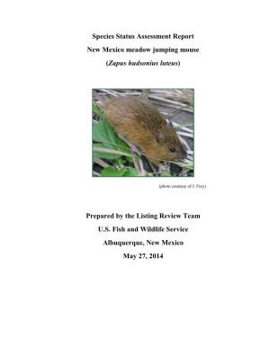 Species Status Assessment Report New Mexico Meadow Jumping Mouse (Zapus Hudsonius Luteus)