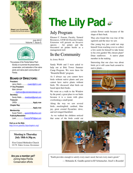 The Lily Pad