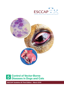 Control of Vector-Borne Diseases in Dogs and Cats