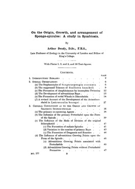 On the Origin, Growth, and Arrangement of Sponge-Spicules: a Study in Symbiosis