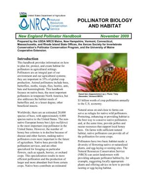 Pollinator Biology and Habitat