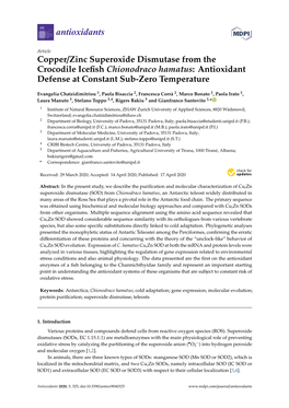 Copper/Zinc Superoxide Dismutase from the Crocodile Iceﬁsh Chionodraco Hamatus: Antioxidant Defense at Constant Sub-Zero Temperature
