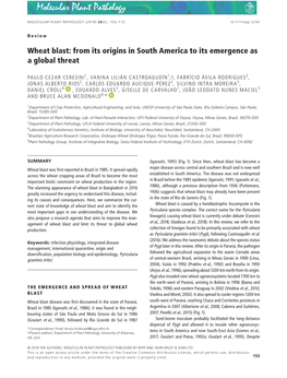 Wheat Blast: from Its Origins in South America to Its Emergence As a Global Threat