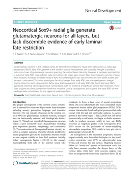 Neocortical Sox9+ Radial Glia Generate Glutamatergic Neurons for All Layers, but Lack Discernible Evidence of Early Laminar Fate Restriction E