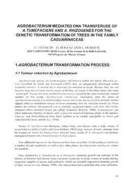 Agrobacterium Mediated Dna Transferuse of A. Tumefaciens and A