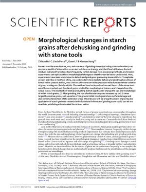 Morphological Changes in Starch Grains After Dehusking and Grinding