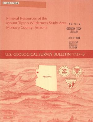 Mineral Resources of the Mount Tipton Wilderness Study Area,89 795