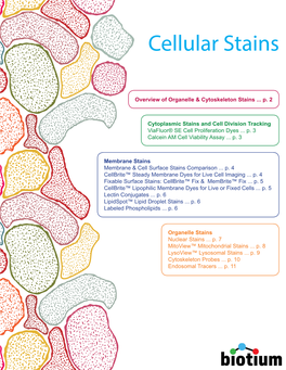 Cellular Stains Brochure