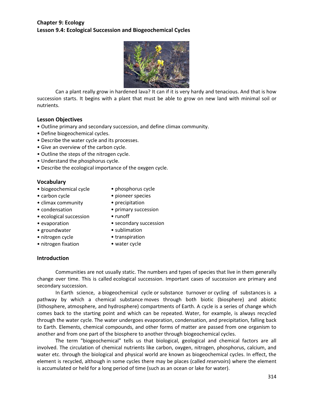 Ecological Succession and Biogeochemical Cycles Lesson