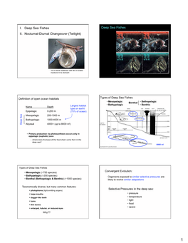 17 Deep Sea Fishes Noct-Diurn Changeover.Pptx