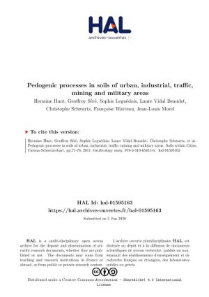 Pedogenic Processes in Soils of Urban, Industrial, Traffic, Mining and Ecosystem Services That Even Contaminated Industrial and Military Areas (H