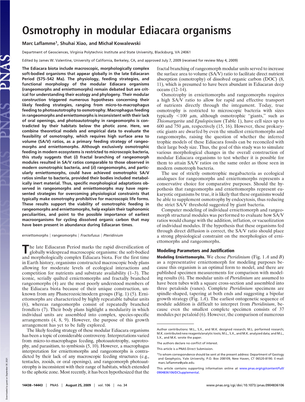 Osmotrophy in Modular Ediacara Organisms