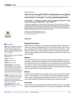 Neuronal and Glial DNA Methylation and Gene Expression Changes in Early Epileptogenesis