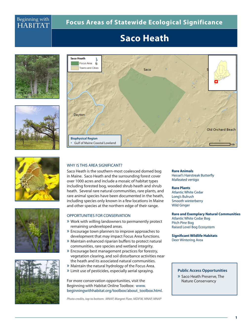 Saco Heath Beginning with Focus Areas of Statewide Ecological Significance Habitat Saco Heath