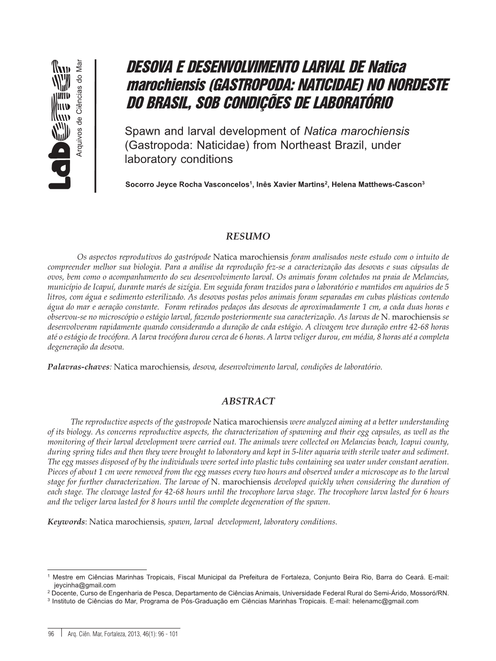 Desova E Desenvolvimento Larval De Natica Marochiensis (Gastropoda: Naticidae) No Nordeste Do Brasil, Sob Condições De Laboratório