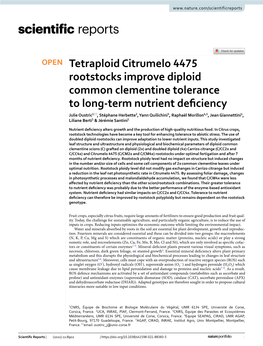 Tetraploid Citrumelo 4475 Rootstocks Improve Diploid Common