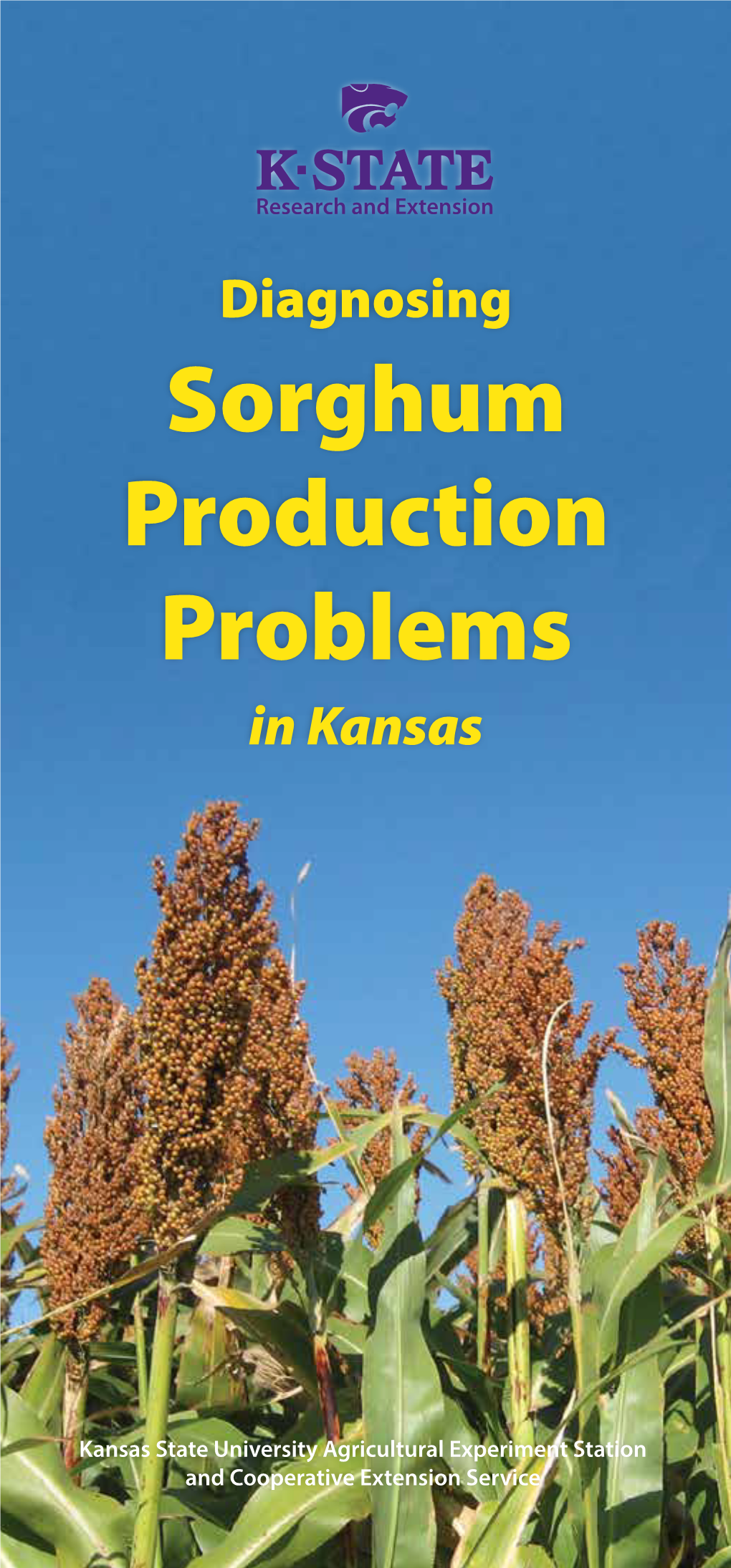 S125 Diagnosing Sorghum Production Problems in Kansas