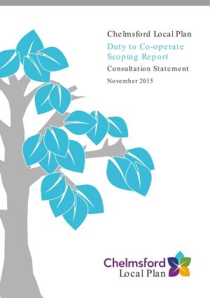 Local Plan Duty to Co-Operate Scoping Report Consultation Statement November 2015
