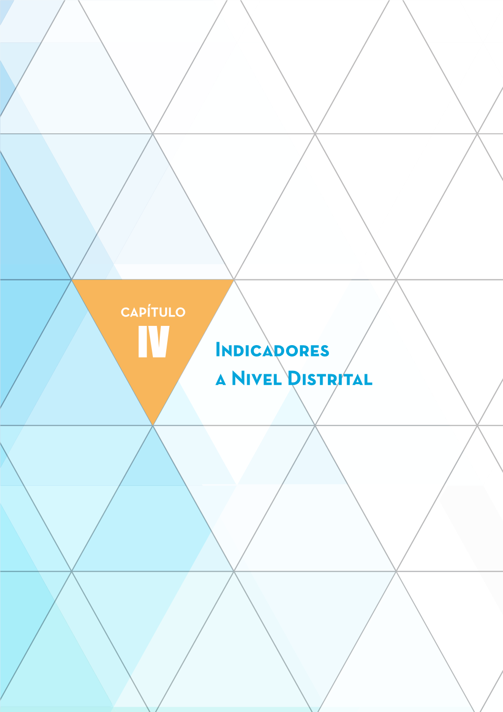 IV. Indicadores a Nivel Distrital