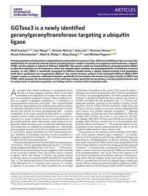 Ggtase3 Is a Newly Identified Geranylgeranyltransferase Targeting a Ubiquitin Ligase