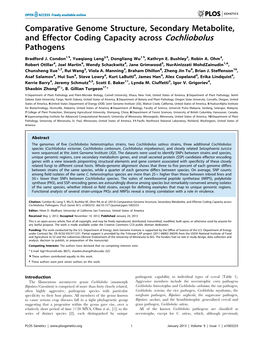 Comparative Genome Structure, Secondary Metabolite, and Effector Coding Capacity Across Cochliobolus Pathogens