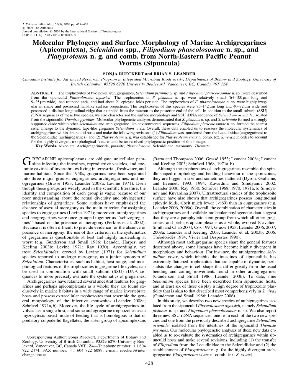 Molecular Phylogeny and Surface Morphology of Marine Archigregarines (Apicomplexa), Selenidium Spp., Filipodium Phascolosomae N