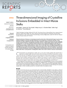 Three-Dimensional Imaging of Crystalline Inclusions Embedded In