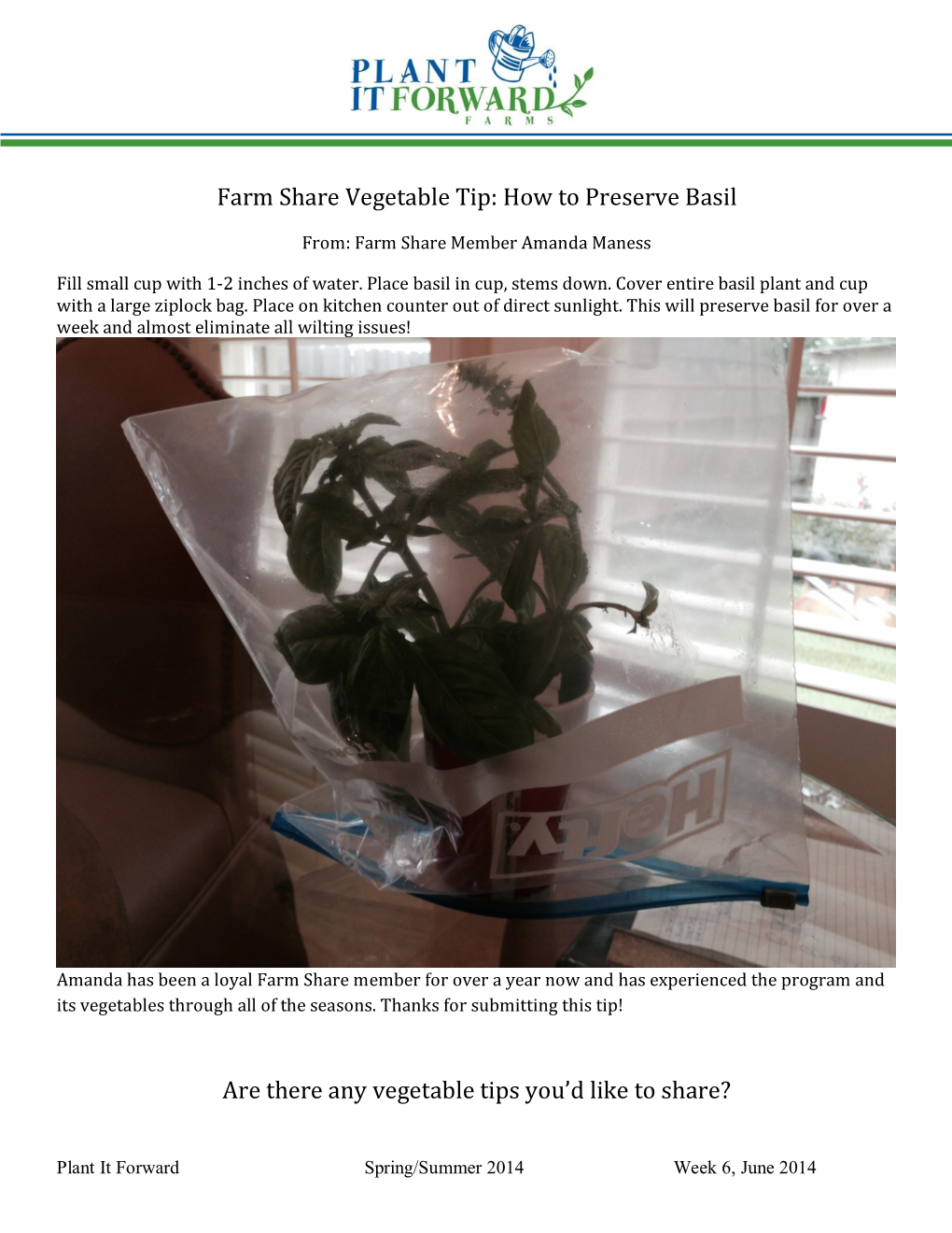 Farm Share Vegetable Tip: How to Preserve Basil