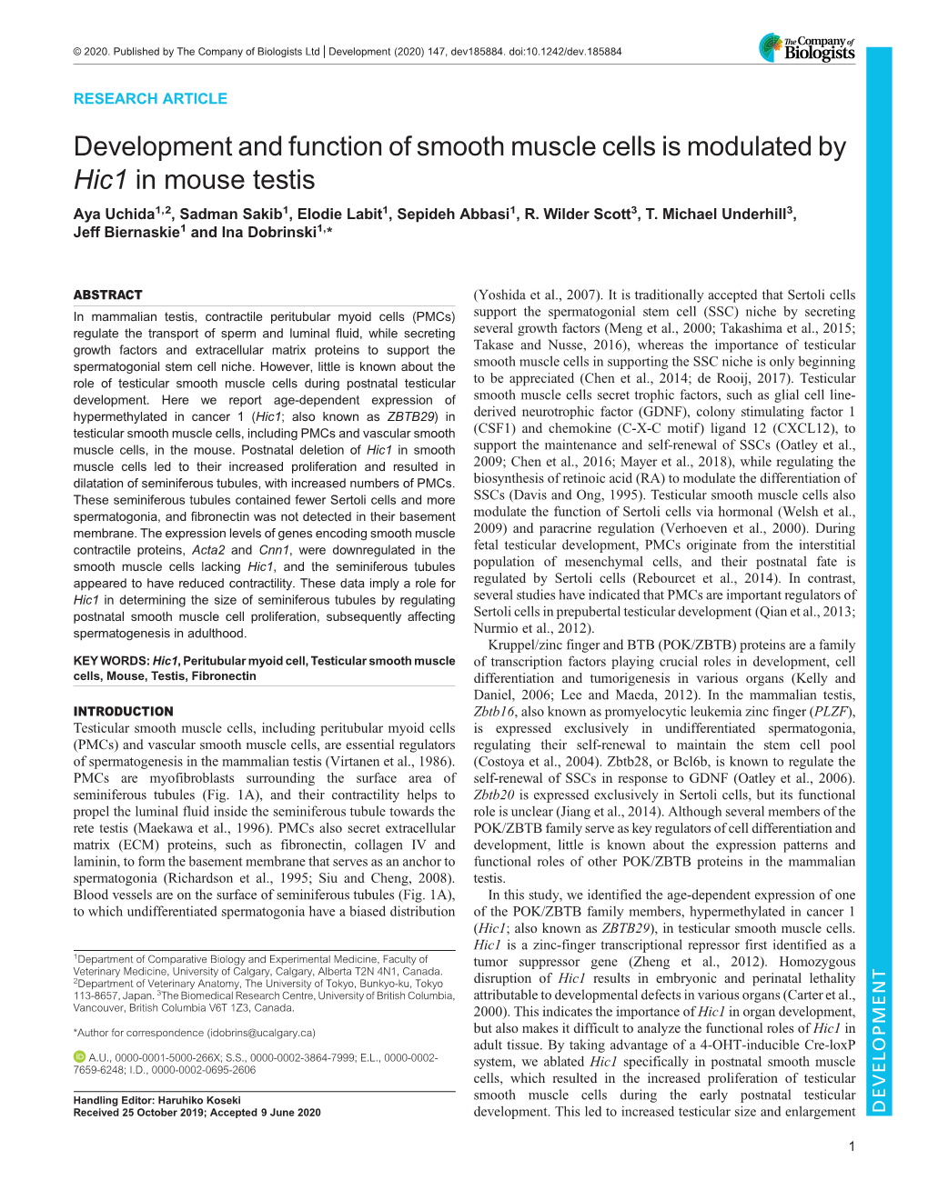 Development and Function of Smooth Muscle Cells Is Modulated by Hic1 in Mouse Testis Aya Uchida1,2, Sadman Sakib1, Elodie Labit1, Sepideh Abbasi1, R