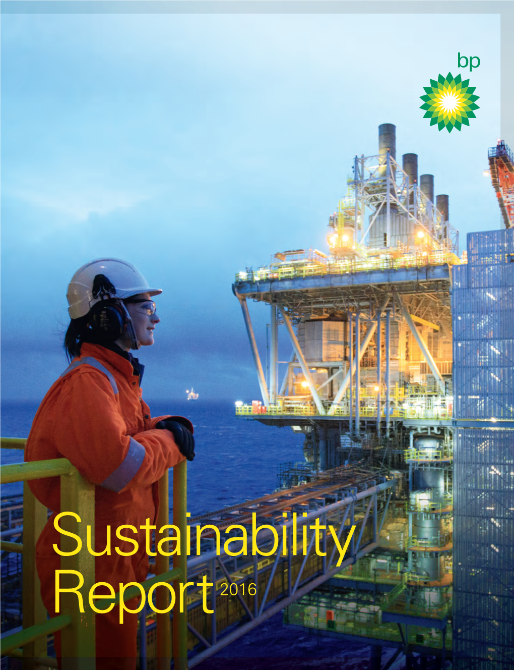 BP Sustainability Report 2016 1 Our Key Issues