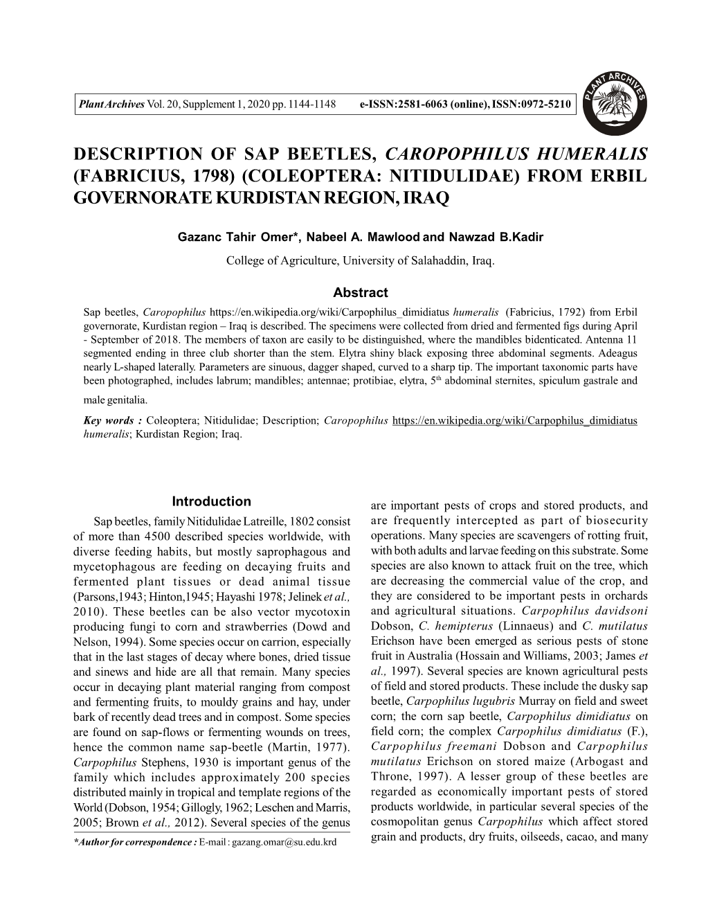 Description of Sap Beetles, Caropophilus Humeralis (Fabricius, 1798) (Coleoptera: Nitidulidae) from Erbil Governorate Kurdistan Region, Iraq