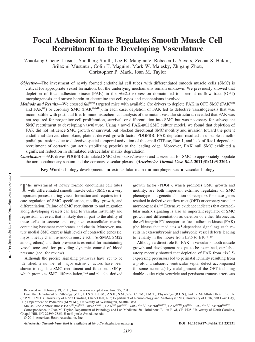 Focal Adhesion Kinase Regulates Smooth Muscle Cell Recruitment to the Developing Vasculature