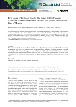 First Record of Calliactis Tricolor (Le Sueur, 1817) (Cnidaria, Actiniaria, Hormathiidae) in the Veracruz Reef System, Southwestern Gulf of Mexico