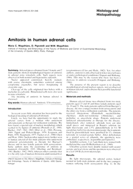 Amitosis in Human Adrenal Cells
