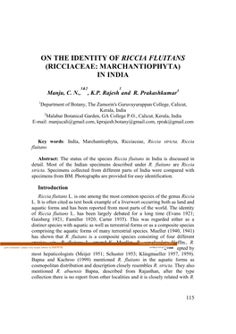 On the Identity of Riccia Fluitans (Ricciaceae: Marchantiophyta) in India