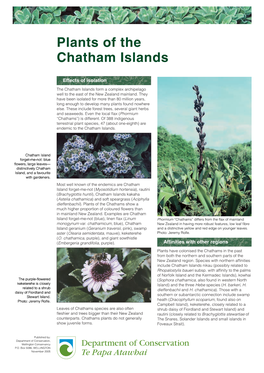 Plants of the Chatham Islands