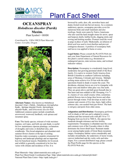 Plant Fact Sheet for Oceanspray (Holodiscus Discolor)