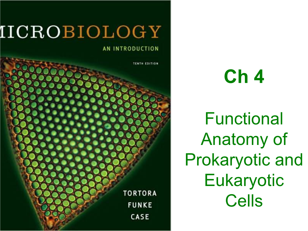 Functional Anatomy of Prokaryotic and Eukaryotic Cells Objectives Compare and Contrast the Overall Cell Structure of Prokaryotes and Eukaryotes